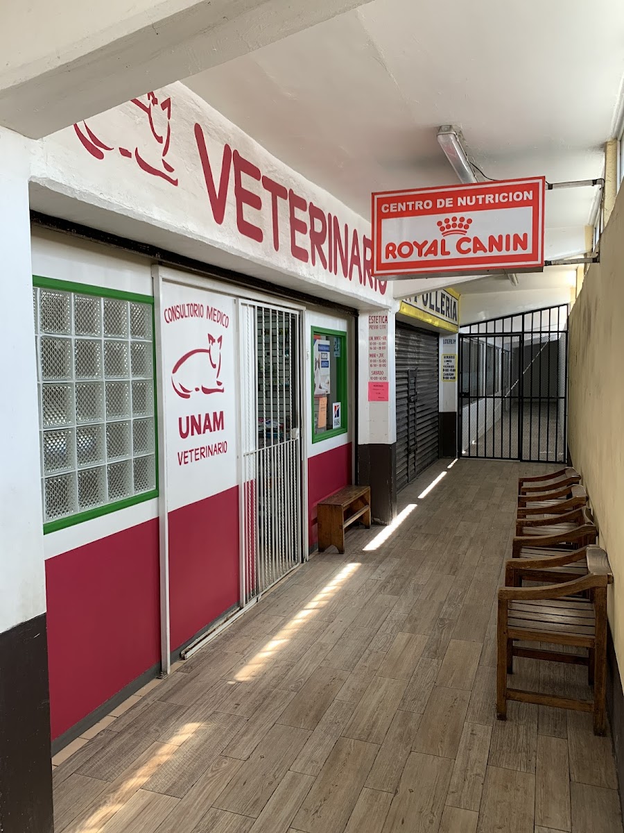 Consultorio médico veterinario
